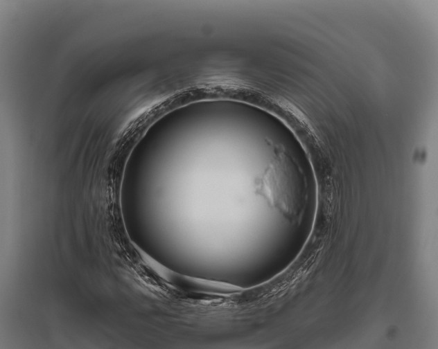 X0000095951112200801181416