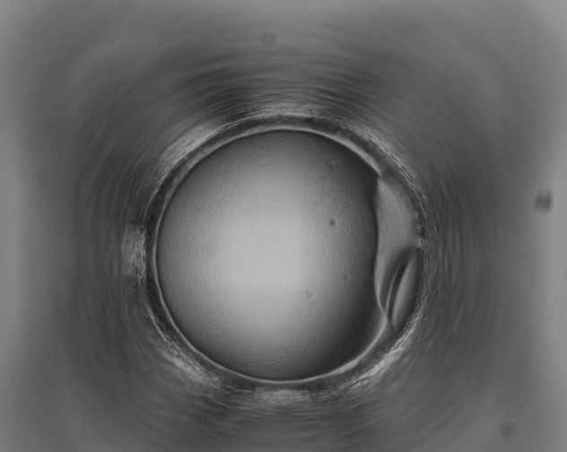 X0000095951113200801181416