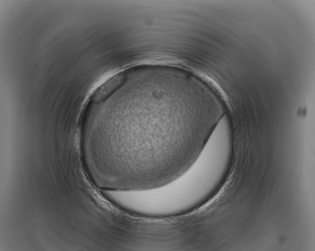 X0000095951114200801181416