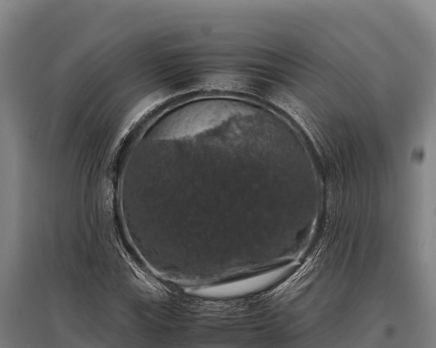 X0000095951115200801181416