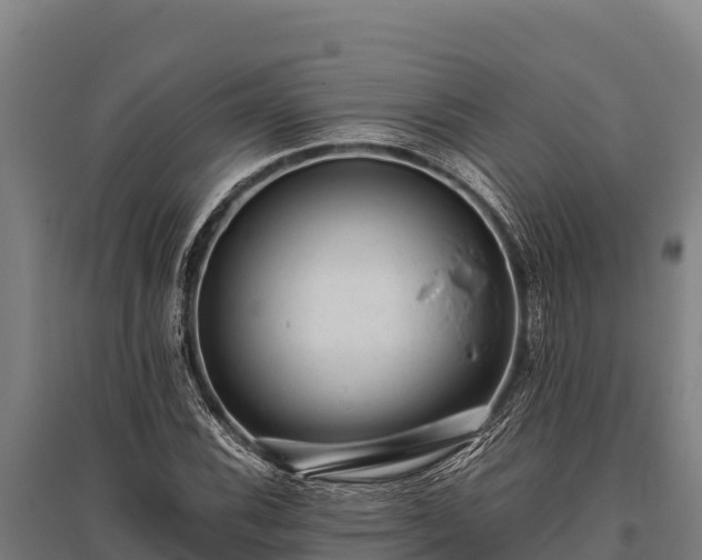X0000095951116200801181416