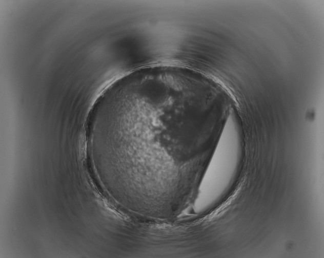 X0000095951117200801181416