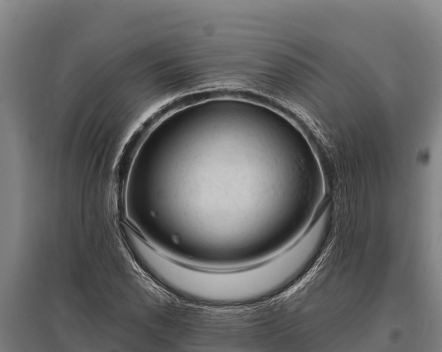 X0000095951118200801181416