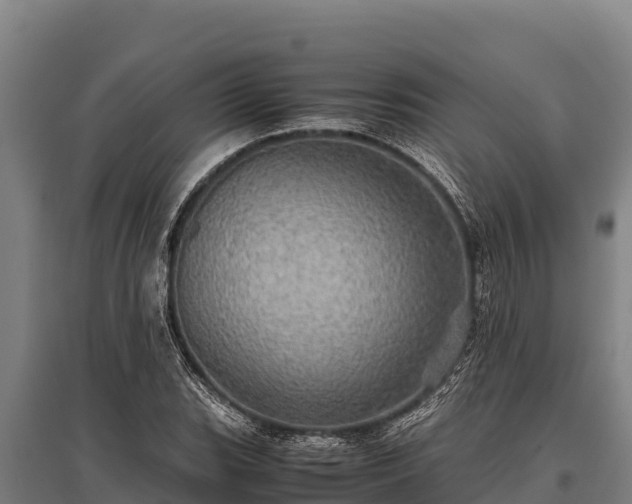 X0000095951119200801181416