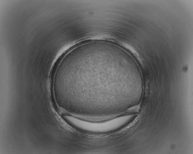 X0000095951122200801181416
