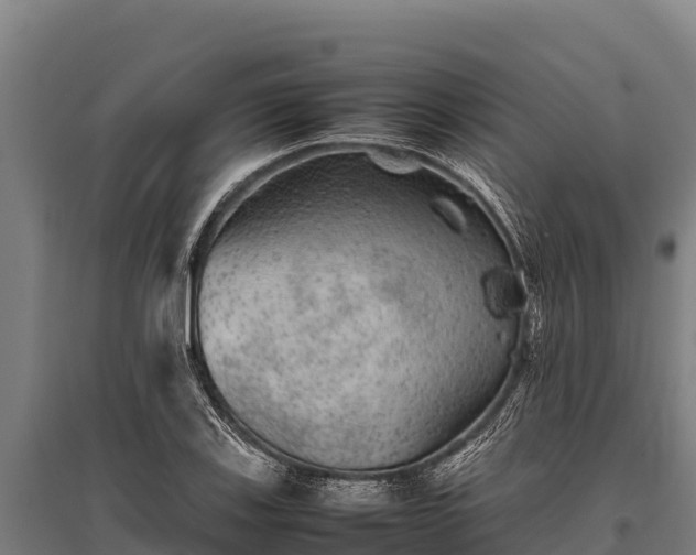X0000095951123200801181416