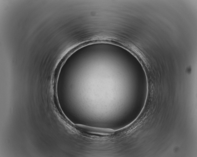 X0000095951124200801181416