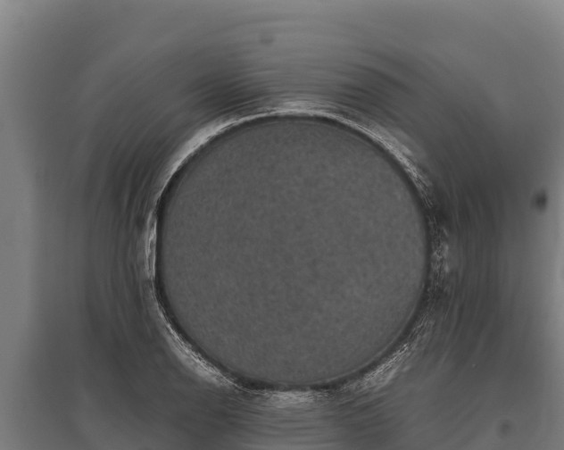 X0000095951126200801181416