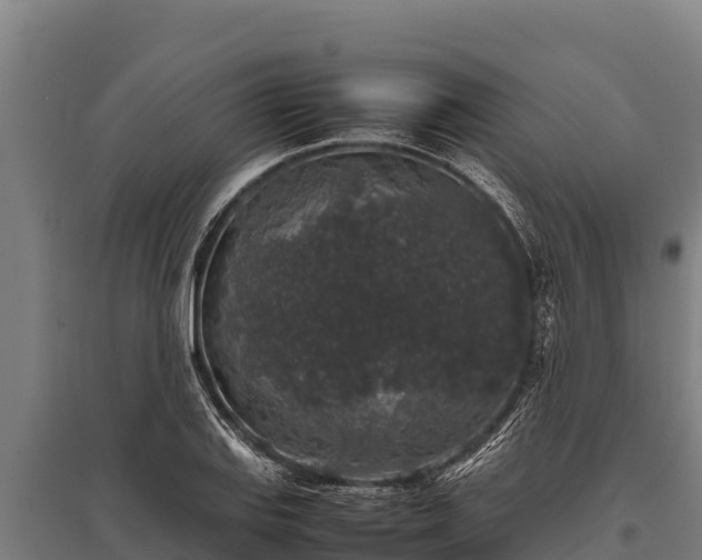X0000095951127200801181416