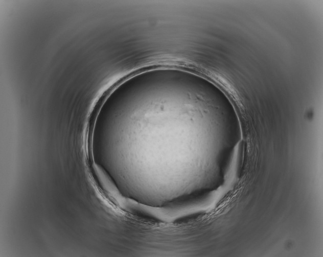 X0000095951128200801181416