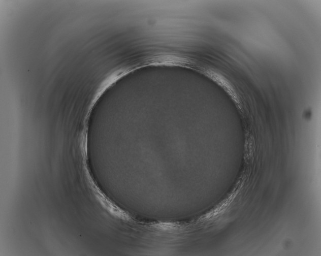 X0000095951130200801181417