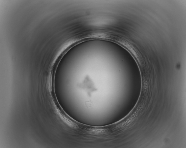 X0000095951131200801181417