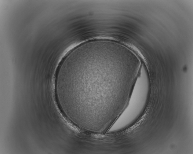 X0000095951133200801181417
