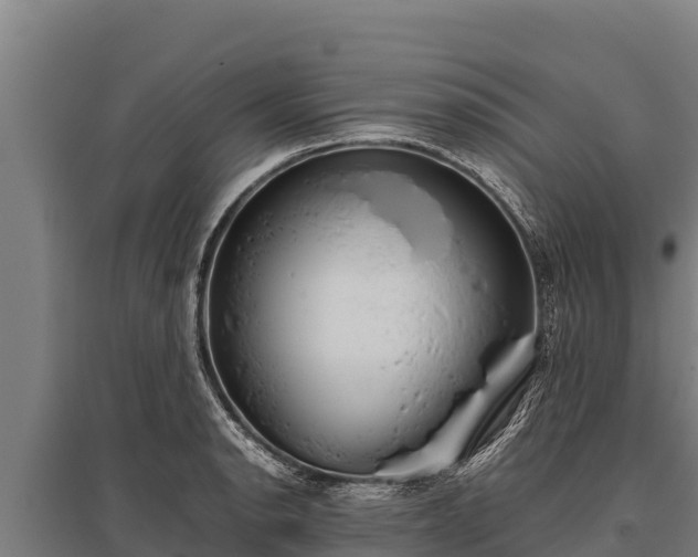 X0000095951134200801181417