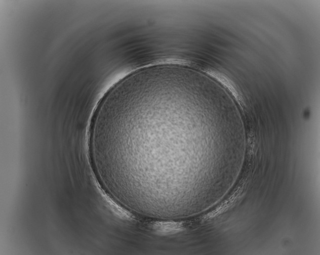 X0000095951135200801181417