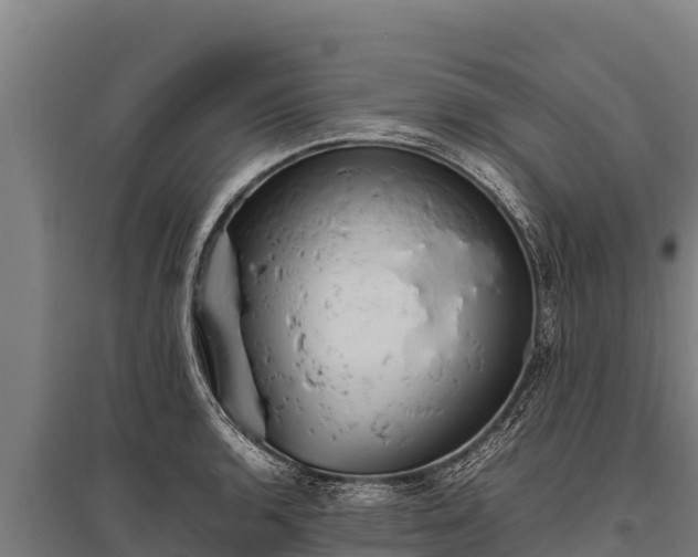 X0000095951136200801181417