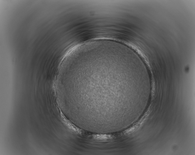 X0000095951137200801181417