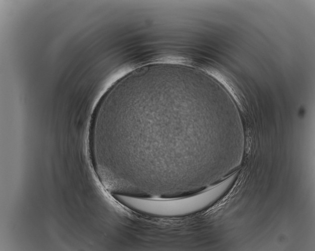 X0000095951139200801181417