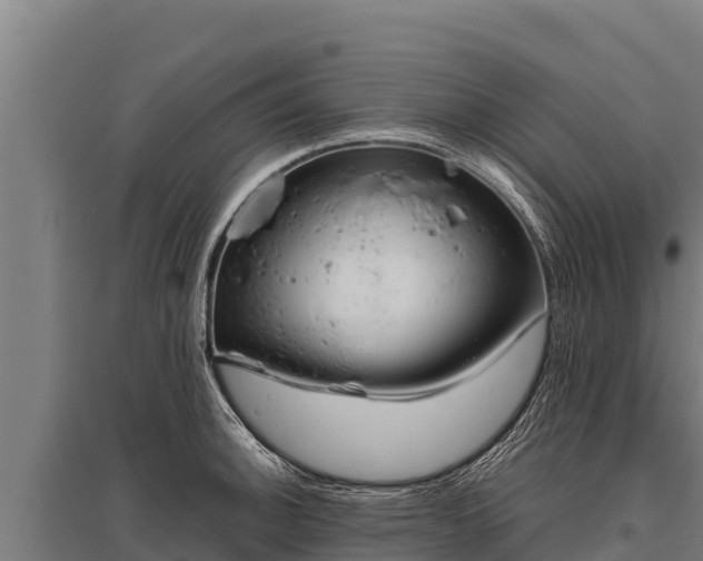 X0000095951140200801181417