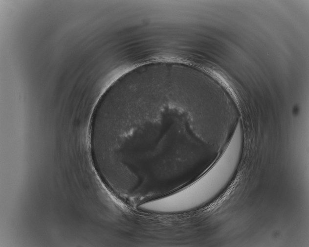 X0000095951141200801181417