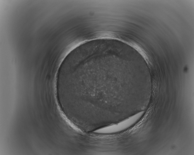 X0000095951142200801181417