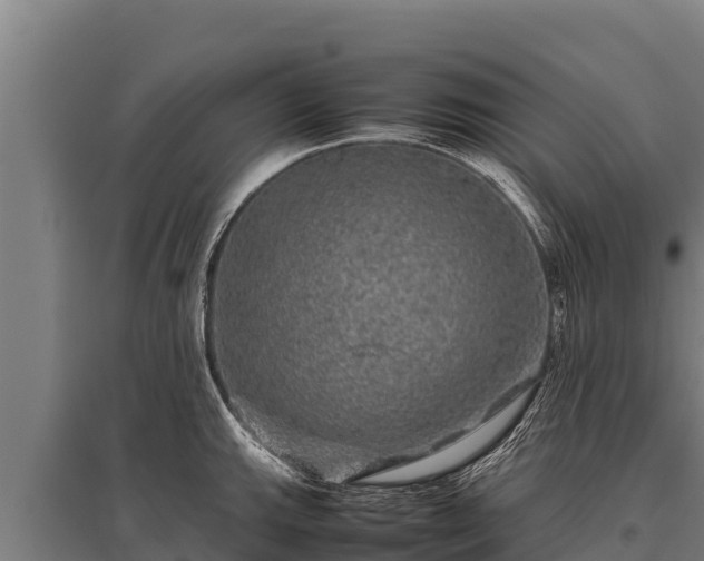 X0000095951143200801181417