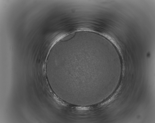 X0000095951145200801181417
