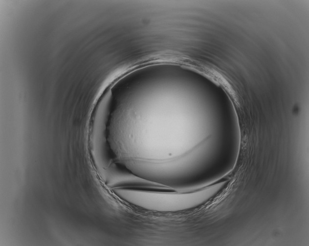 X0000095951146200801181417