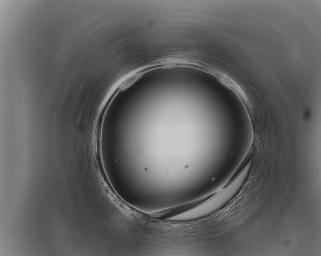X0000095951148200801181417