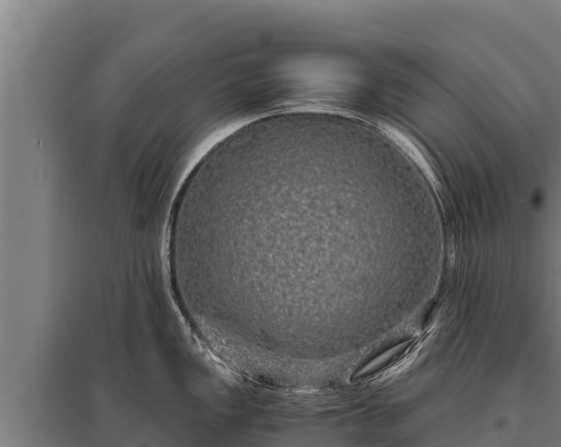 X0000095951149200801181417