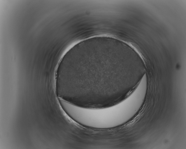 X0000095951151200801181417