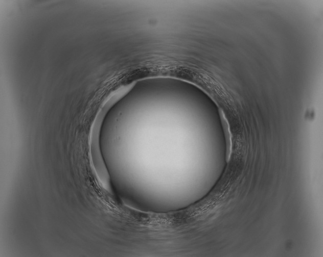 X0000095951153200801181416