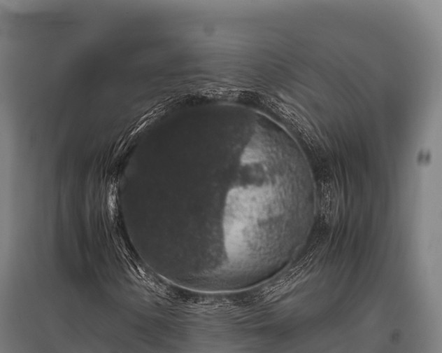 X0000095951154200801181416