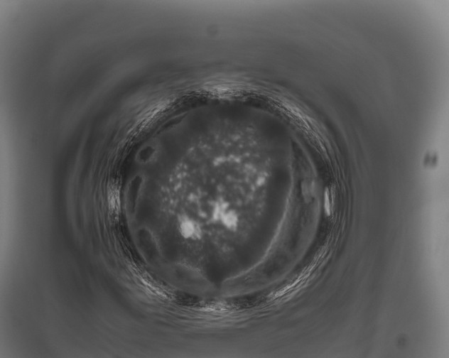 X0000095951155200801181416