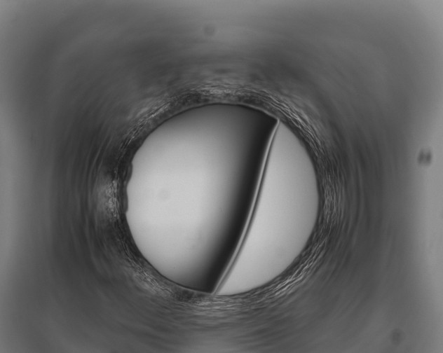 X0000095951156200801181416
