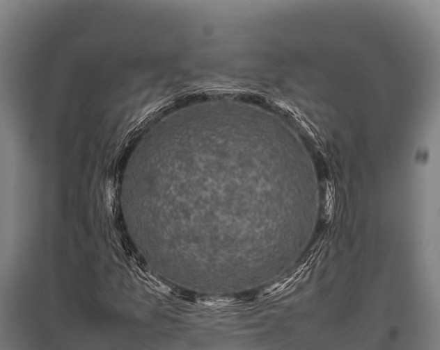 X0000095951157200801181416