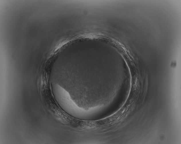 X0000095951158200801181416