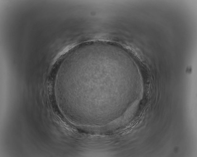 X0000095951159200801181416