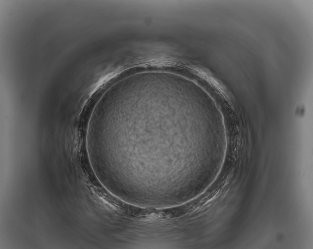 X0000095951160200801181416