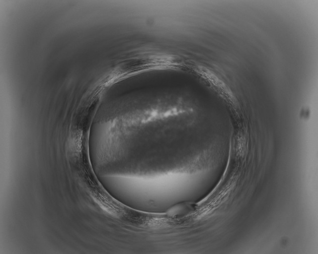 X0000095951161200801181416
