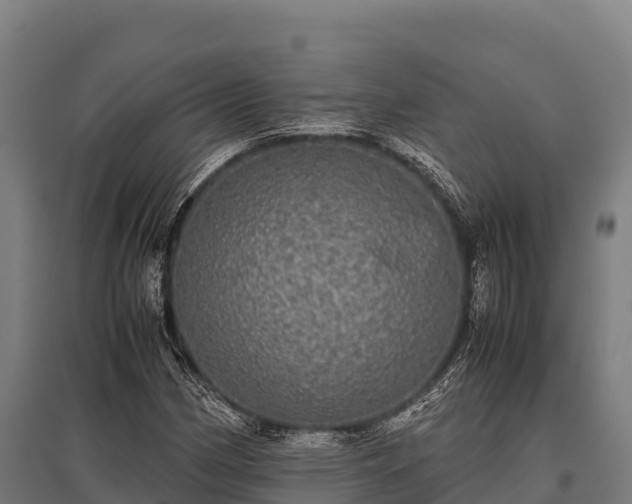 X0000095951162200801181416