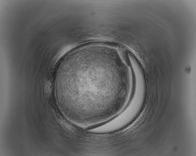 X0000095951163200801181416