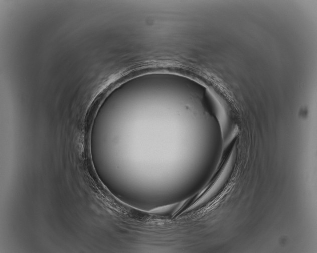 X0000095951165200801181416