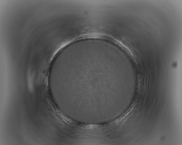 X0000095951166200801181416