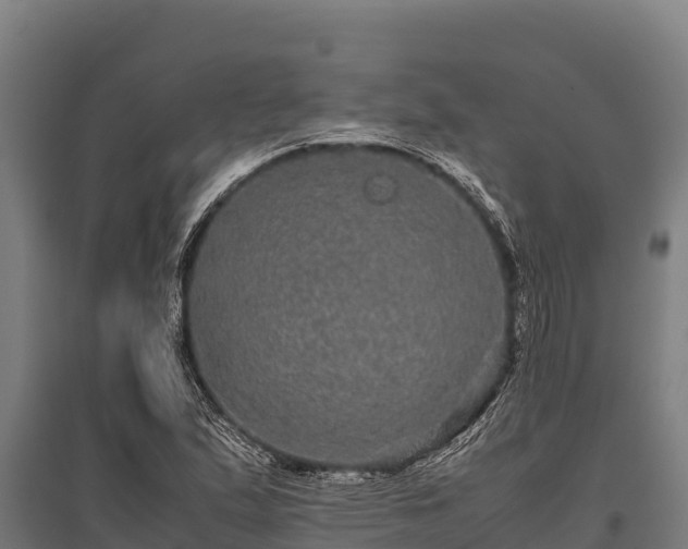 X0000095951167200801181416