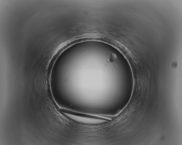 X0000095951168200801181416