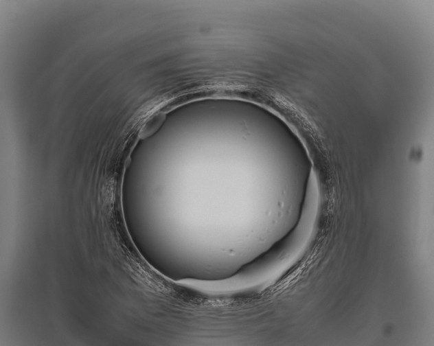 X0000095951169200801181416