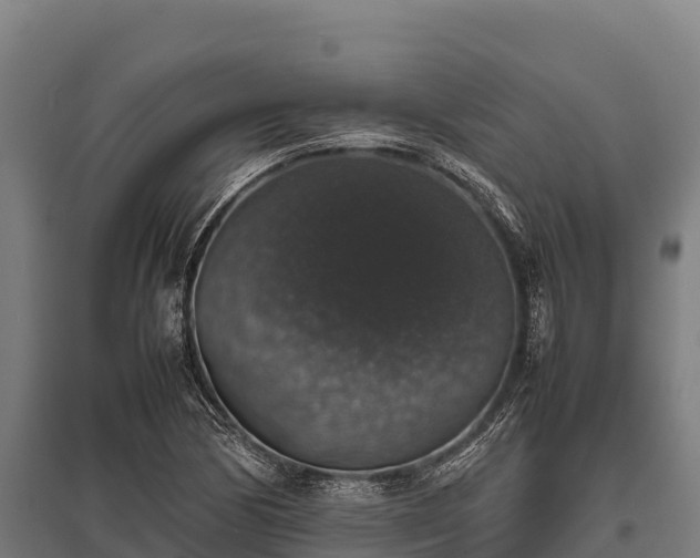 X0000095951170200801181416