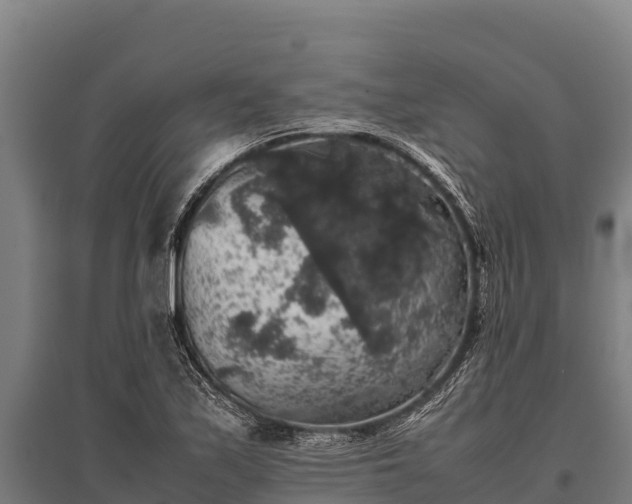 X0000095951171200801181416