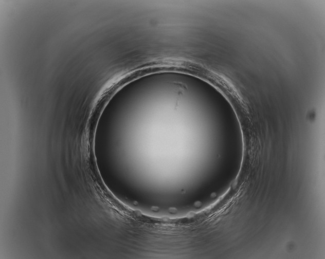 X0000095951172200801181416